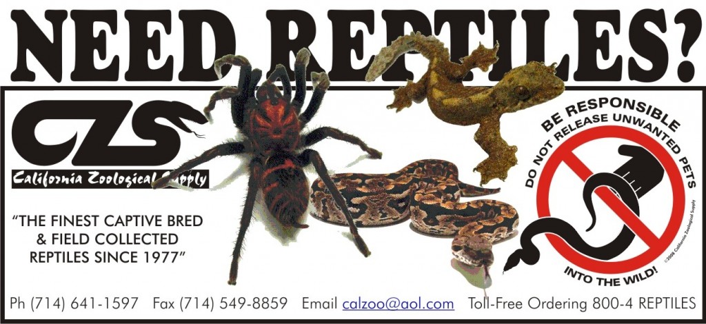 PetBusinessAdlet2